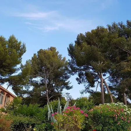 公寓 Studio A Sur Mer A 1 Km De La Plage 滨海萨纳里